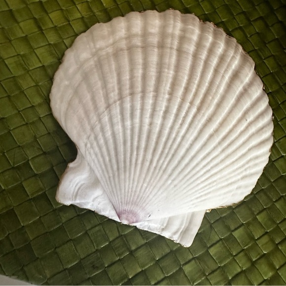 Trinket Shell Dish - Retro Floral Pattern 4.5” Large Size - Picture 3 of 6